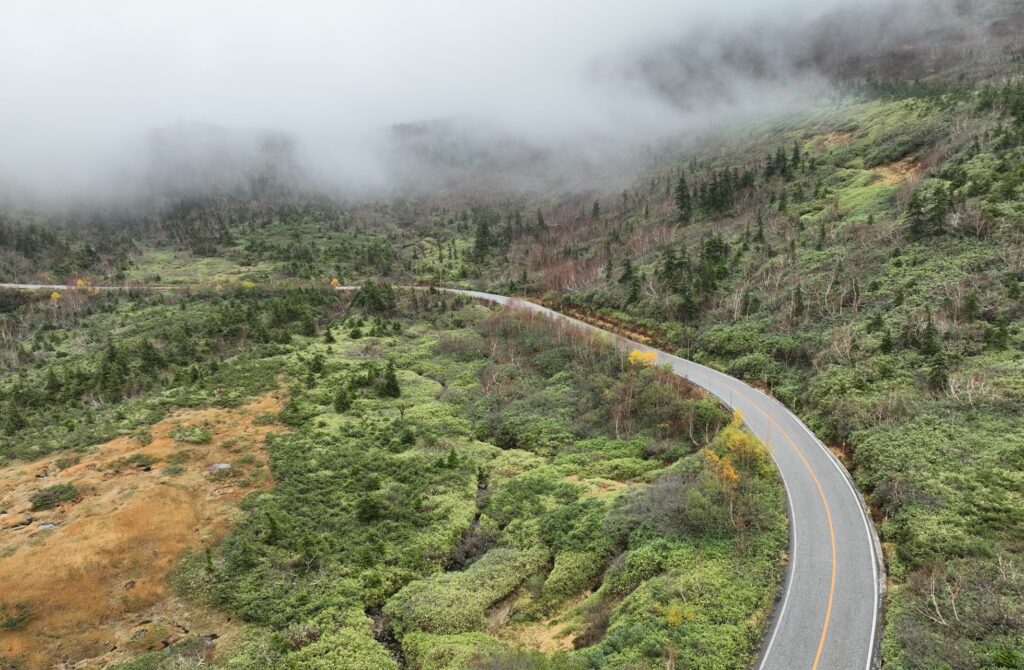 大型ドローンの実証実験