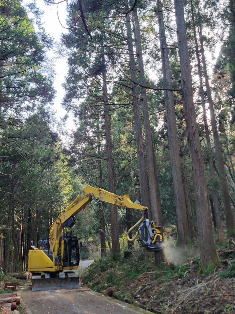 立山北部小学校　林業体験教室