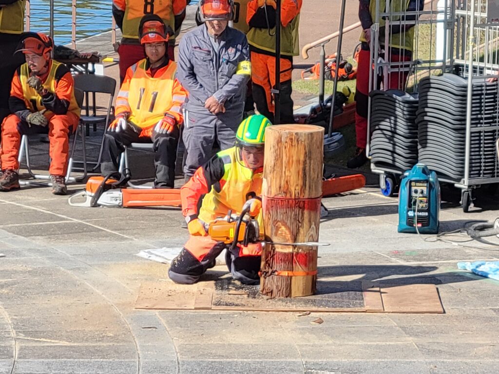 つるぎフェスティバル