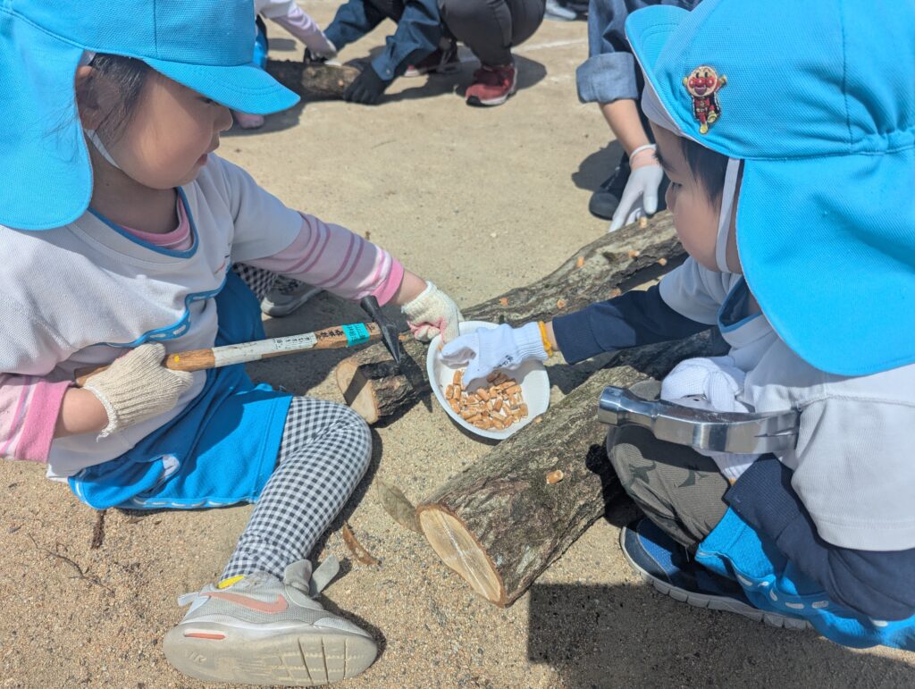 しいたけ栽培体験教室