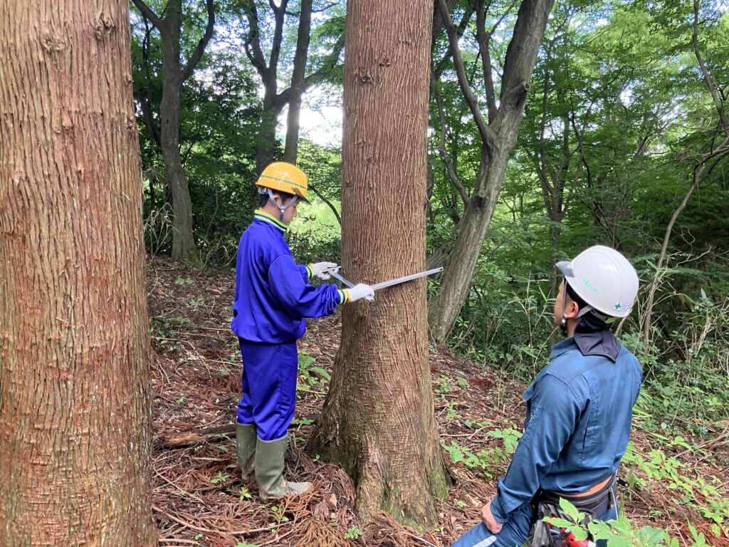 上市中学校14歳の挑戦