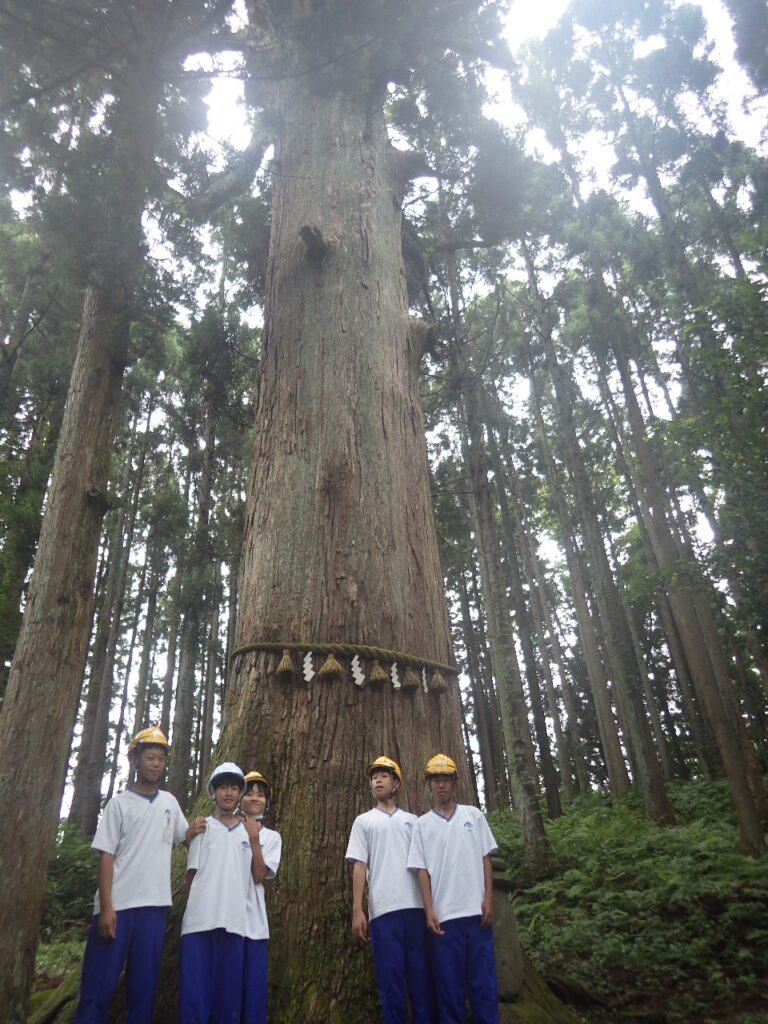 上市中学校14歳の挑戦